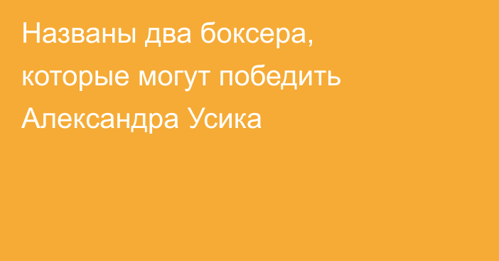Названы два боксера, которые могут победить Александра Усика