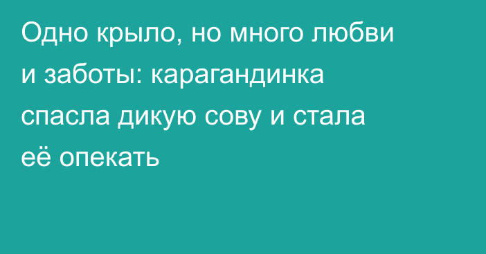 Одно крыло, но много любви и заботы: карагандинка спасла дикую сову и стала её опекать