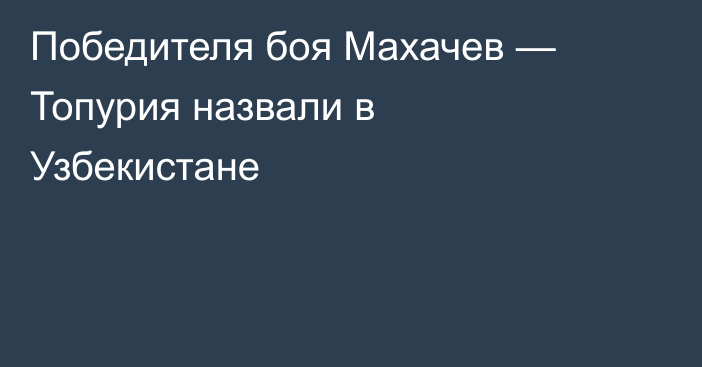 Победителя боя Махачев — Топурия назвали в Узбекистане