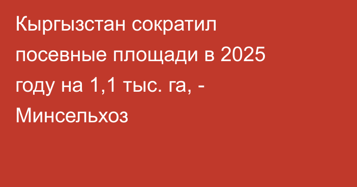Кыргызстан сократил посевные площади в 2025 году на 1,1 тыс. га, - Минсельхоз