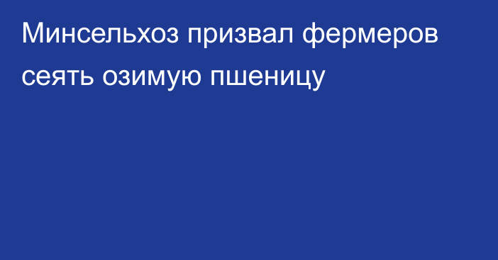 Минсельхоз призвал фермеров сеять озимую пшеницу