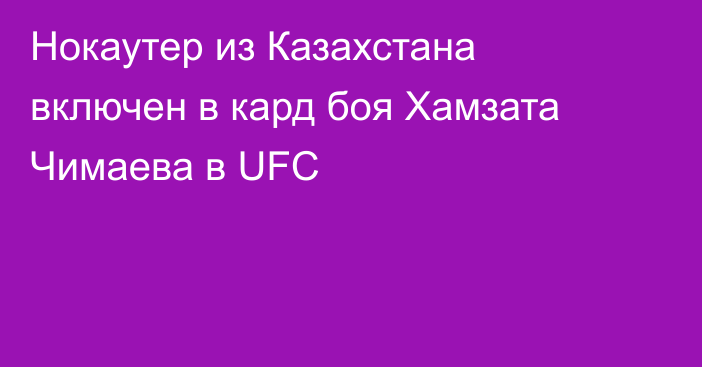 Нокаутер из Казахстана включен в кард боя Хамзата Чимаева в UFC