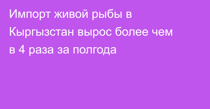 Импорт живой рыбы в Кыргызстан вырос более чем в 4 раза за полгода