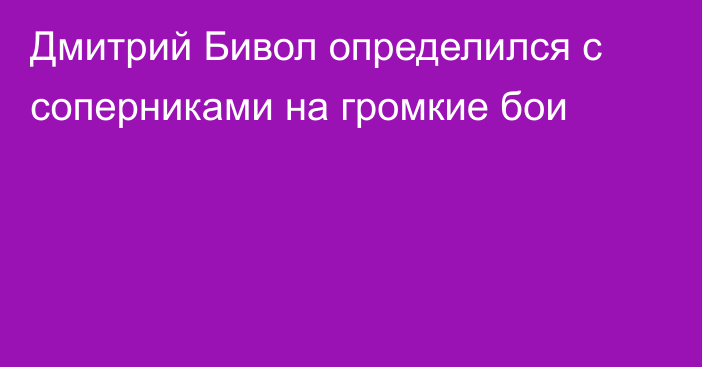 Дмитрий Бивол определился с соперниками на громкие бои