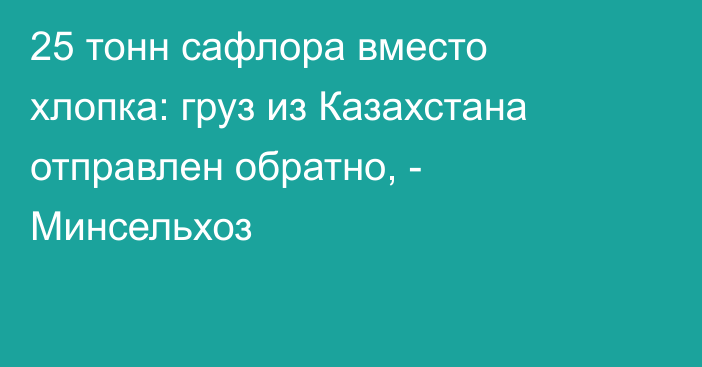 25 тонн сафлора вместо хлопка: груз из Казахстана отправлен обратно, - Минсельхоз 