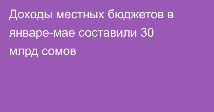 Доходы местных бюджетов в январе-мае составили 30 млрд сомов