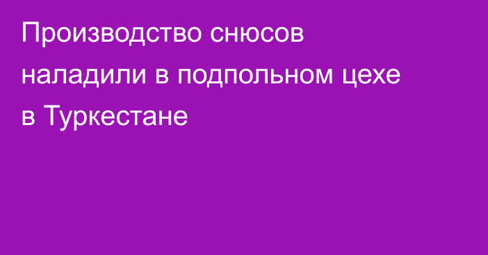 Производство снюсов наладили в подпольном цехе в Туркестане