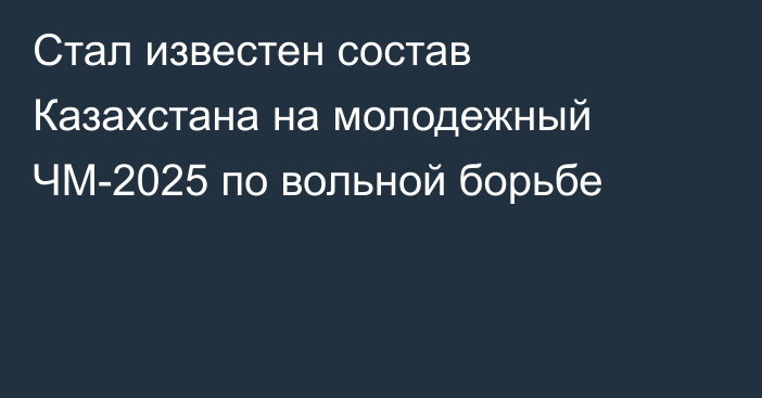 Стал известен состав Казахстана на молодежный ЧМ-2025 по вольной борьбе