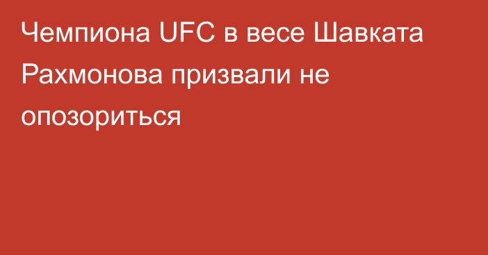 Чемпиона UFC в весе Шавката Рахмонова призвали не опозориться