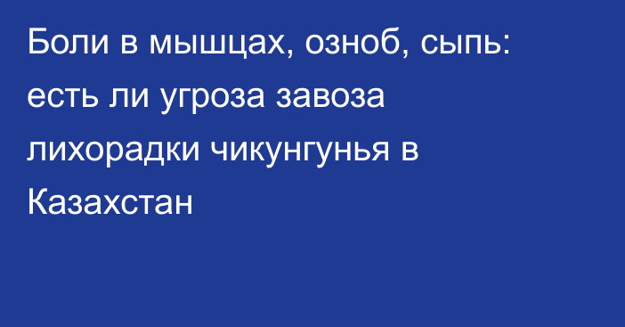 Боли в мышцах, озноб, сыпь: есть ли угроза завоза лихорадки чикунгунья в Казахстан