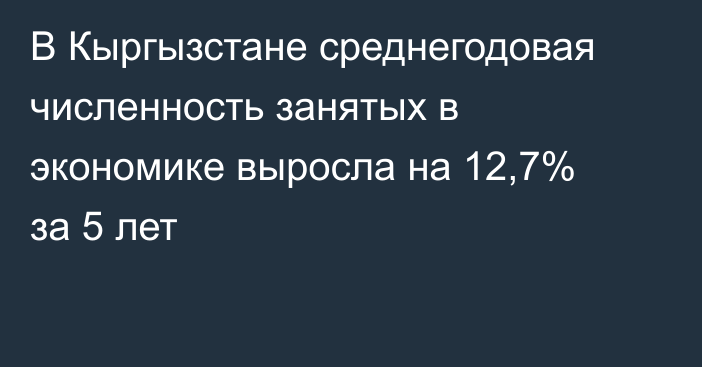 В Кыргызстане среднегодовая численность занятых в экономике выросла на 12,7% за 5 лет