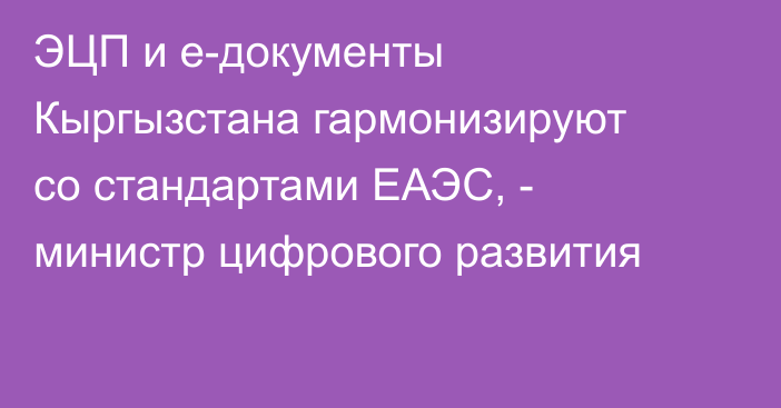 ЭЦП и е-документы Кыргызстана гармонизируют со стандартами ЕАЭС, - министр цифрового развития