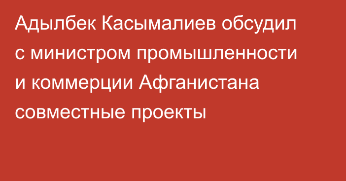 Адылбек Касымалиев обсудил с министром промышленности и коммерции Афганистана совместные проекты