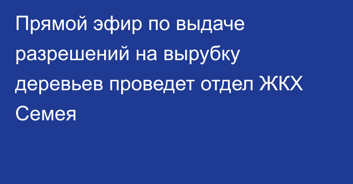 Прямой эфир по выдаче разрешений на вырубку деревьев проведет отдел ЖКХ Семея