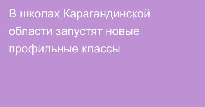 В школах Карагандинской области запустят новые профильные классы