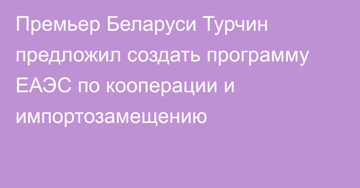 Премьер Беларуси Турчин предложил создать программу ЕАЭС по кооперации и импортозамещению
