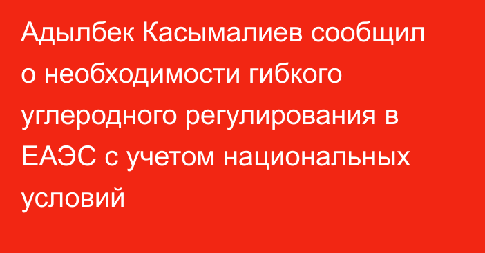 Адылбек Касымалиев сообщил о необходимости гибкого углеродного регулирования в ЕАЭС с учетом национальных условий