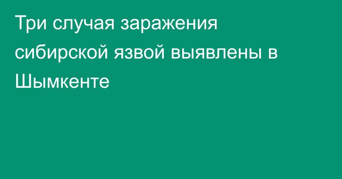 Три случая заражения сибирской язвой выявлены в Шымкенте