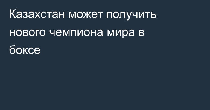 Казахстан может получить нового чемпиона мира в боксе