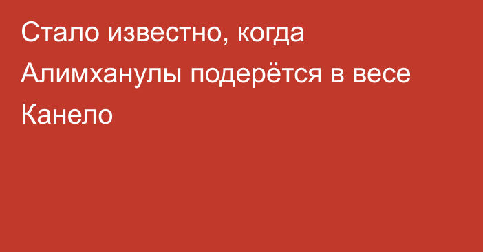 Стало известно, когда Алимханулы подерётся в весе Канело