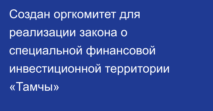 Создан оргкомитет для реализации закона о специальной финансовой инвестиционной территории «Тамчы»