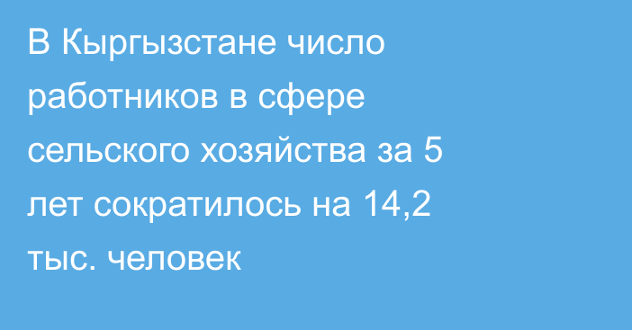 В Кыргызстане число работников в сфере сельского хозяйства за 5 лет сократилось на 14,2 тыс. человек