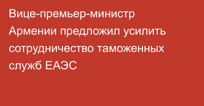 Вице-премьер-министр Армении предложил усилить сотрудничество таможенных служб ЕАЭС
