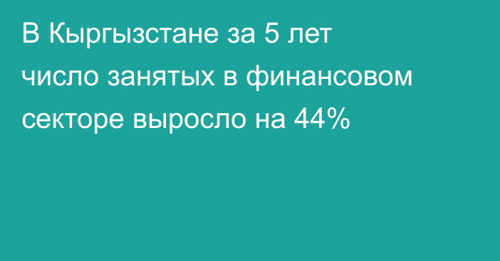 В Кыргызстане за 5 лет число занятых в финансовом секторе выросло на 44%