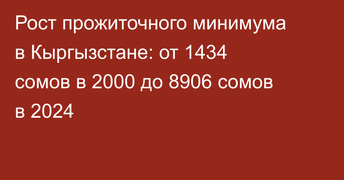 Рост прожиточного минимума в Кыргызстане: от 1434 сомов в 2000 до 8906 сомов в 2024