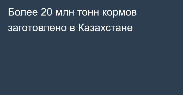 Более 20 млн тонн кормов заготовлено в Казахстане