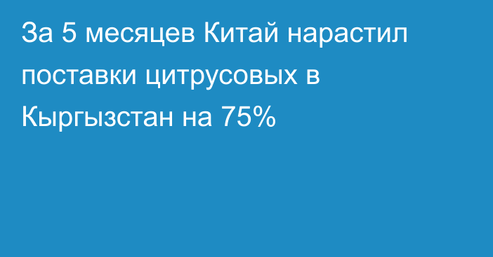За 5 месяцев Китай нарастил поставки цитрусовых в Кыргызстан на 75%
