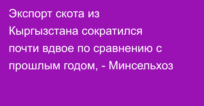 Экспорт скота из Кыргызстана сократился почти вдвое по сравнению с прошлым годом, - Минсельхоз