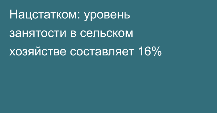 Нацстатком: уровень занятости в сельском хозяйстве составляет 16%