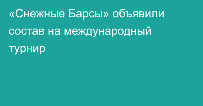 «Снежные Барсы» объявили состав на международный турнир