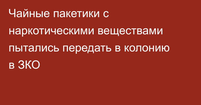 Чайные пакетики с наркотическими веществами пытались передать в колонию в ЗКО