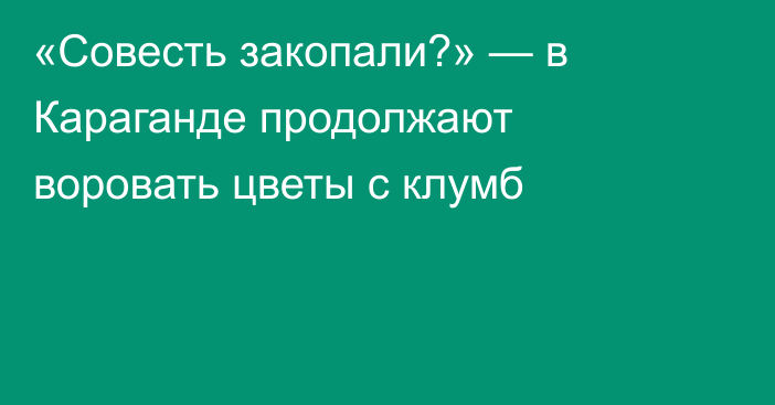 «Совесть закопали?» — в Караганде продолжают воровать цветы с клумб