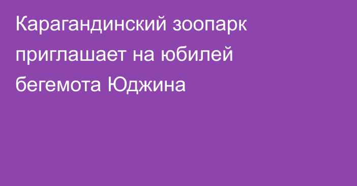Карагандинский зоопарк приглашает на юбилей бегемота Юджина