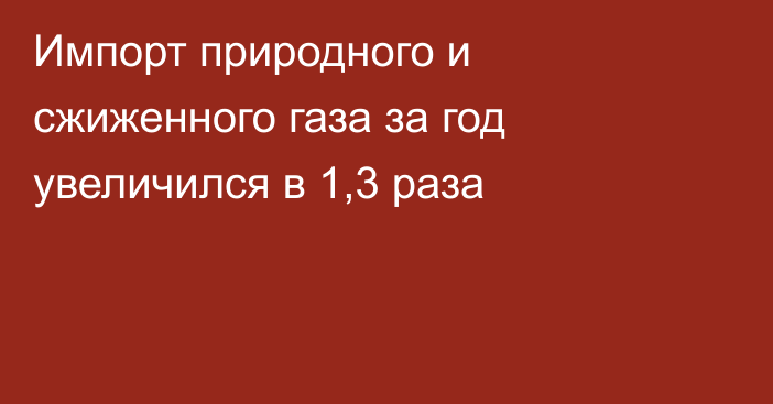 Импорт природного и сжиженного газа за год увеличился в 1,3 раза