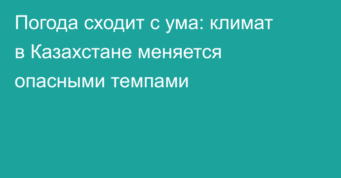 Погода сходит с ума: климат в Казахстане меняется опасными темпами