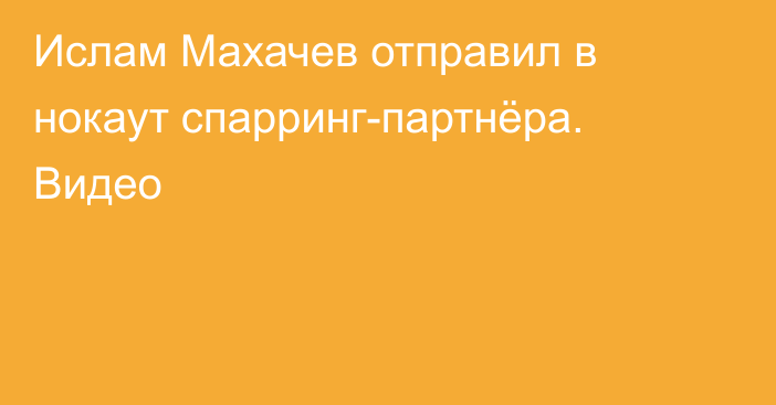 Ислам Махачев отправил в нокаут спарринг-партнёра. Видео
