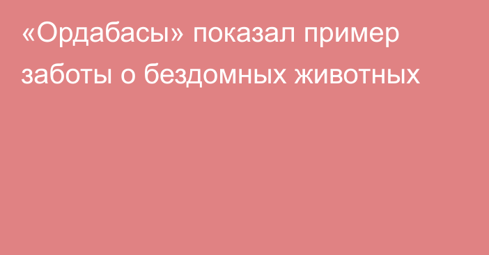 «Ордабасы» показал пример заботы о бездомных животных