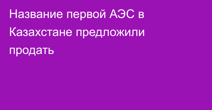 Название первой АЭС в Казахстане предложили продать
