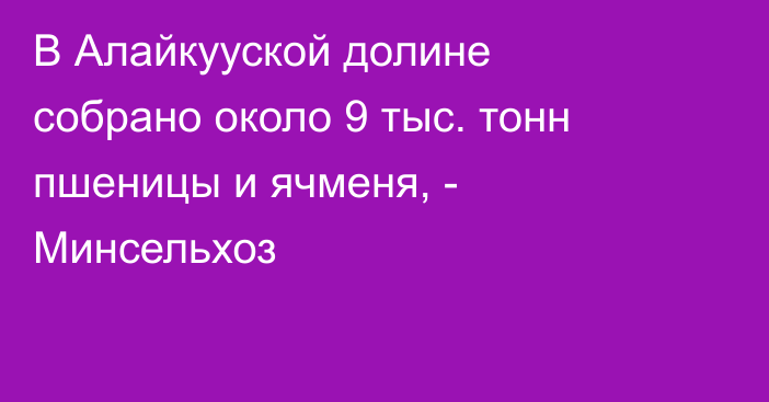 В Алайкууской долине собрано около 9 тыс. тонн пшеницы и ячменя, - Минсельхоз