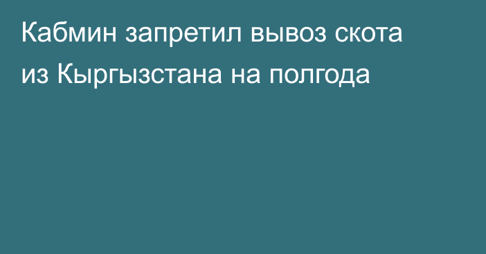 Кабмин запретил вывоз скота из Кыргызстана на полгода