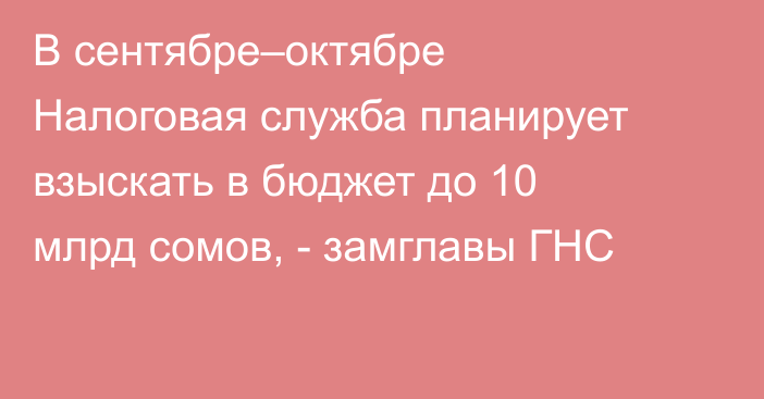 В сентябре–октябре Налоговая служба планирует взыскать в бюджет до 10 млрд сомов, - замглавы ГНС