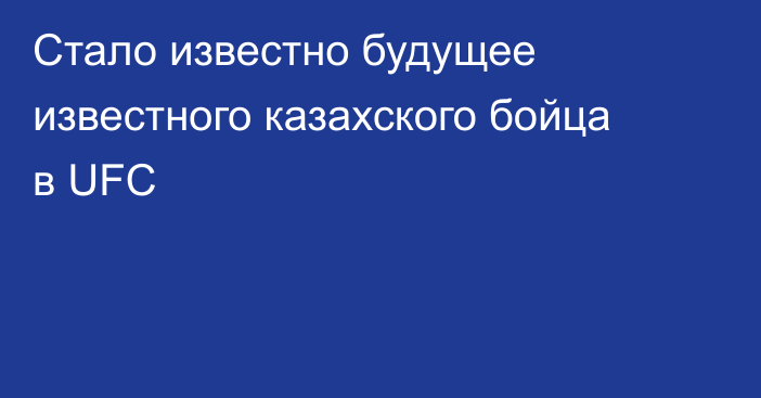 Стало известно будущее известного казахского бойца в UFC