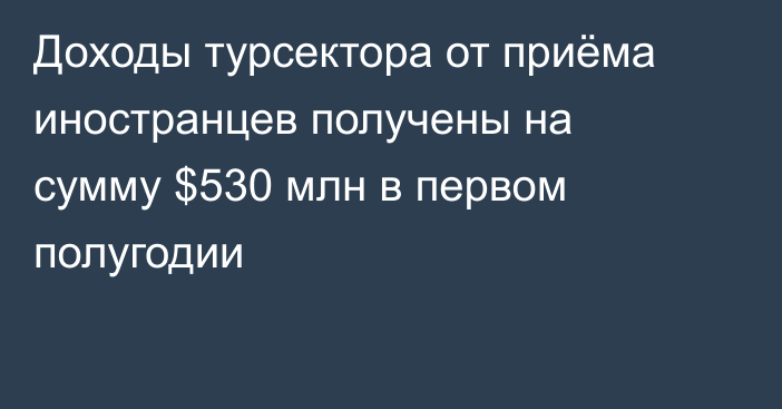 Доходы турсектора от приёма иностранцев получены на сумму $530 млн в первом полугодии 