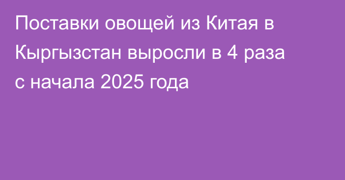 Поставки овощей из Китая в Кыргызстан выросли в 4 раза с начала 2025 года