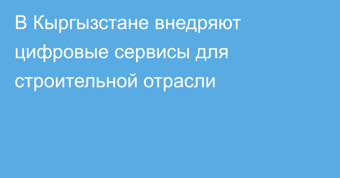 В Кыргызстане внедряют цифровые сервисы для строительной отрасли