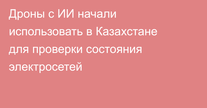 Дроны с ИИ начали использовать в Казахстане для проверки состояния электросетей
